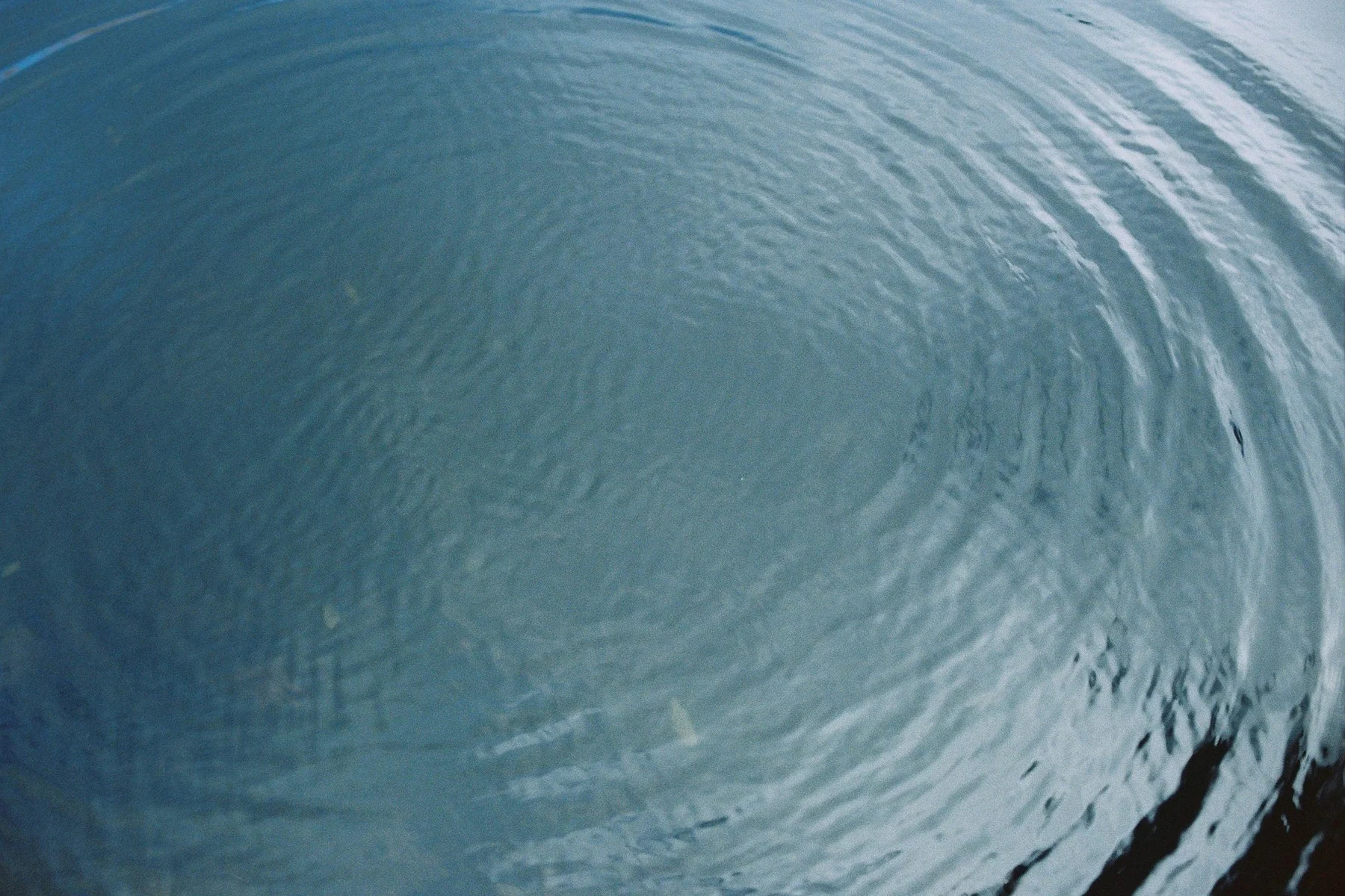 Photograph: Jim Marsden