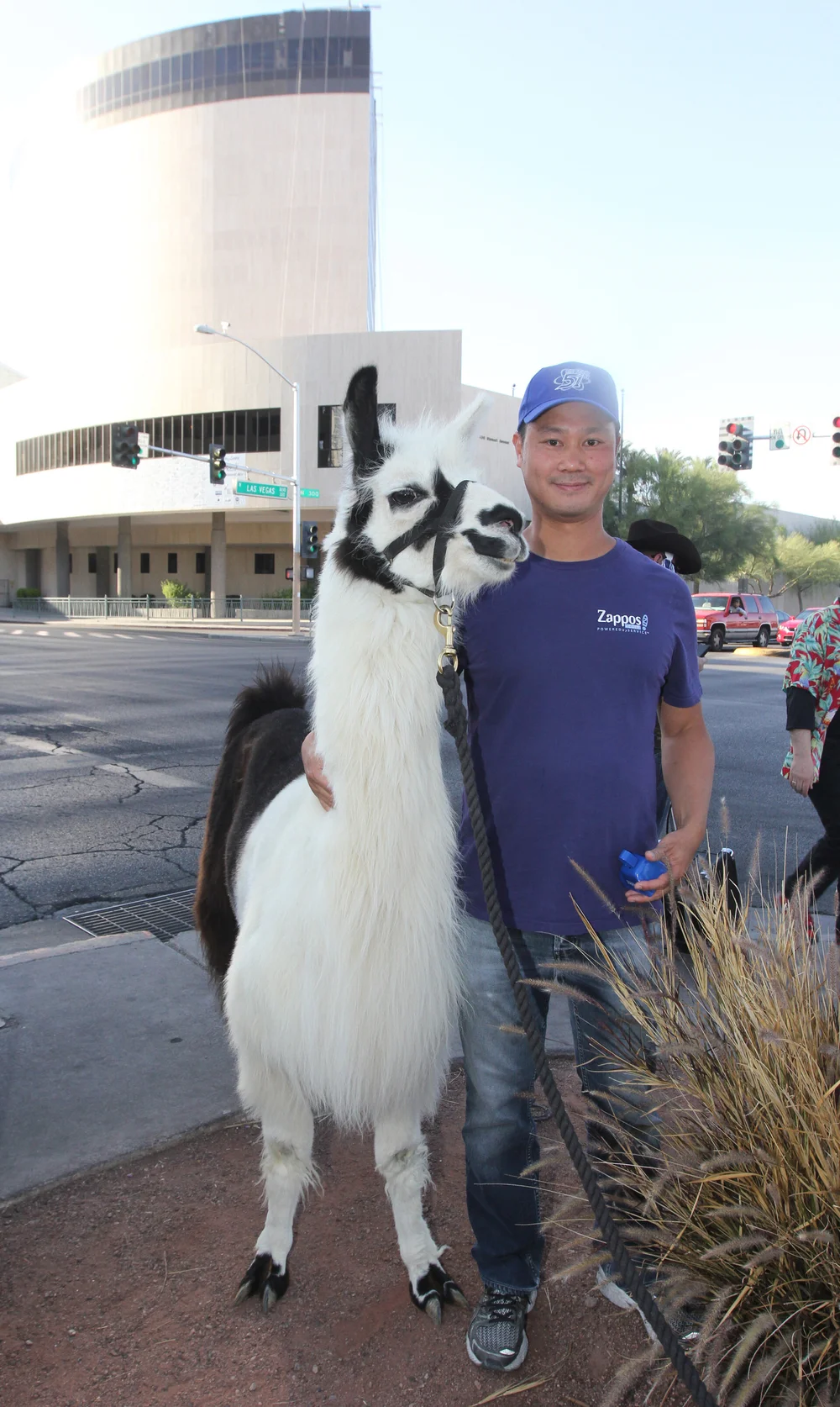 Everyone S A Little Weird Somehow An Interview With Zappos Ceo Tony Hsieh The Challenger Project The Home Of Challenger Brands