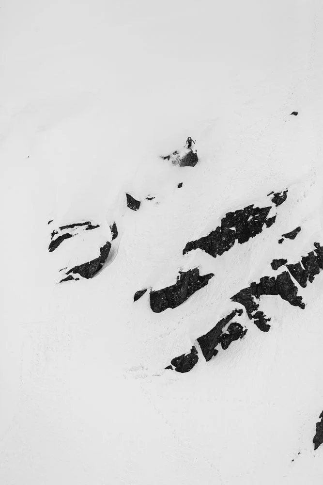 _S9A2729.jpg