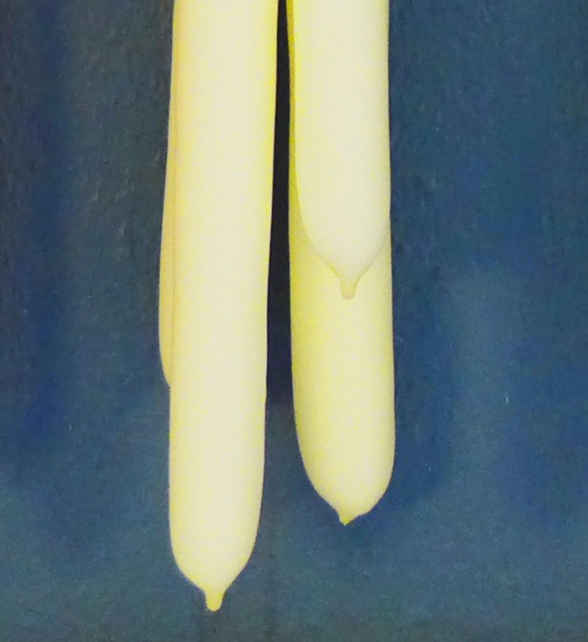 stearinlys_limegule.jpg