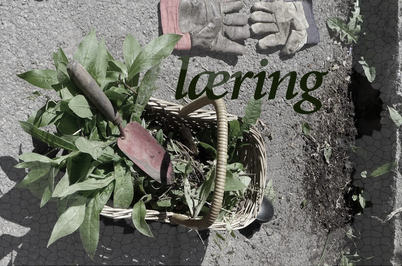 Læring_RRD_SlowDesignStudio.jpg