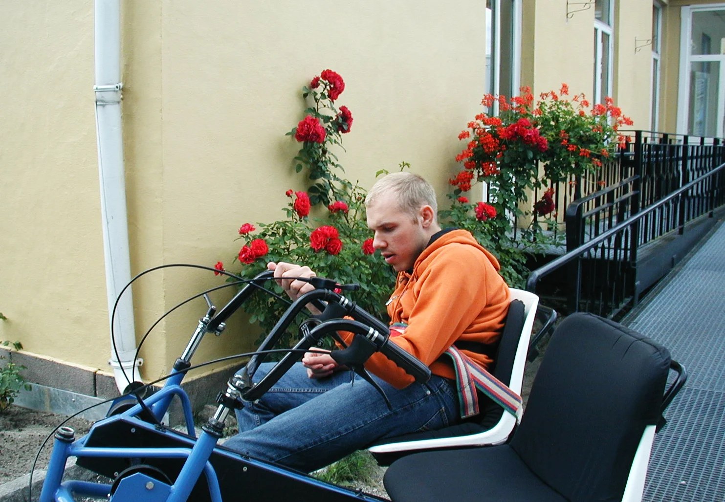 lindegård2.jpg