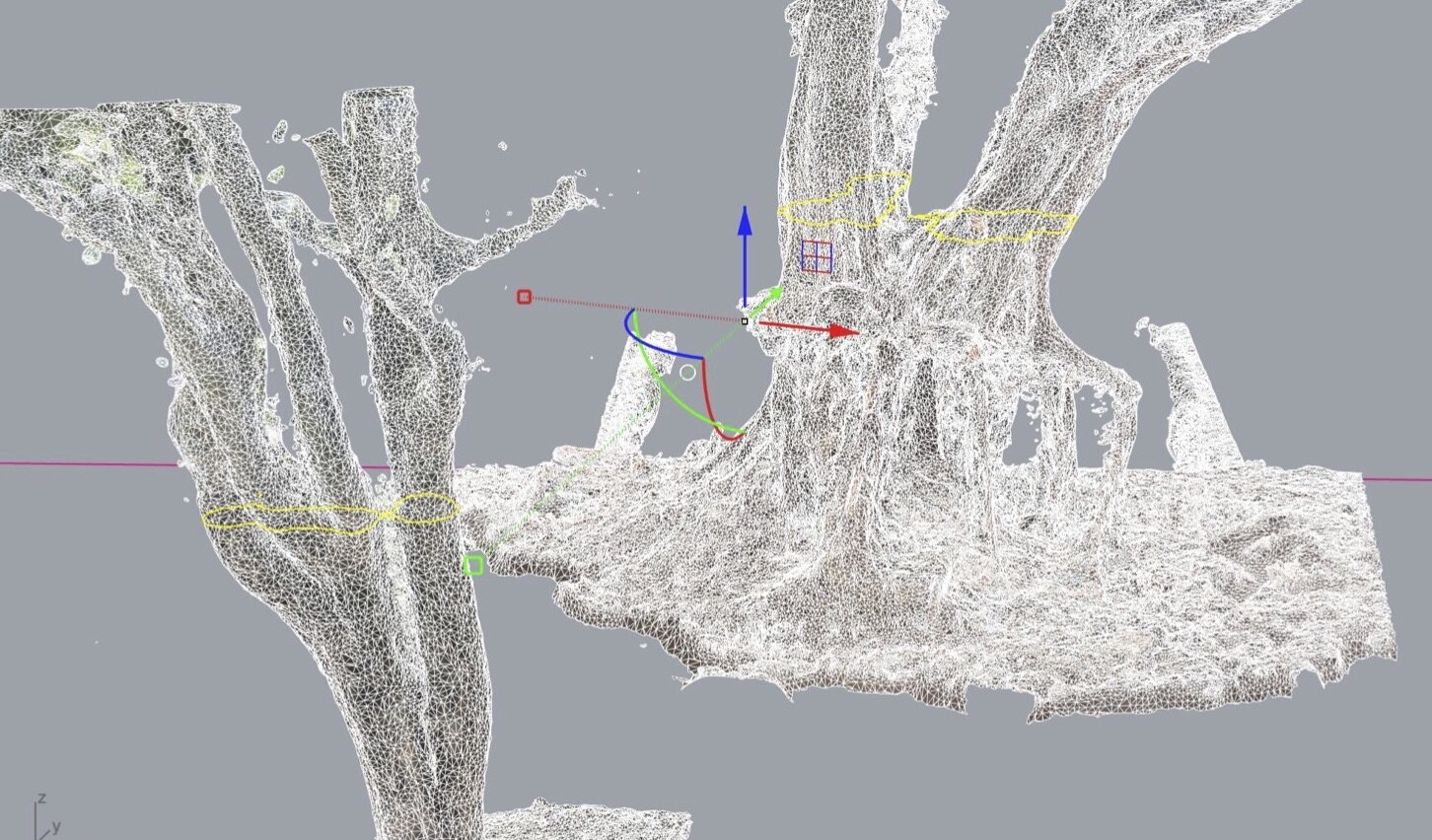 INDA_DCC_Treescape_3D_scan.jpg
