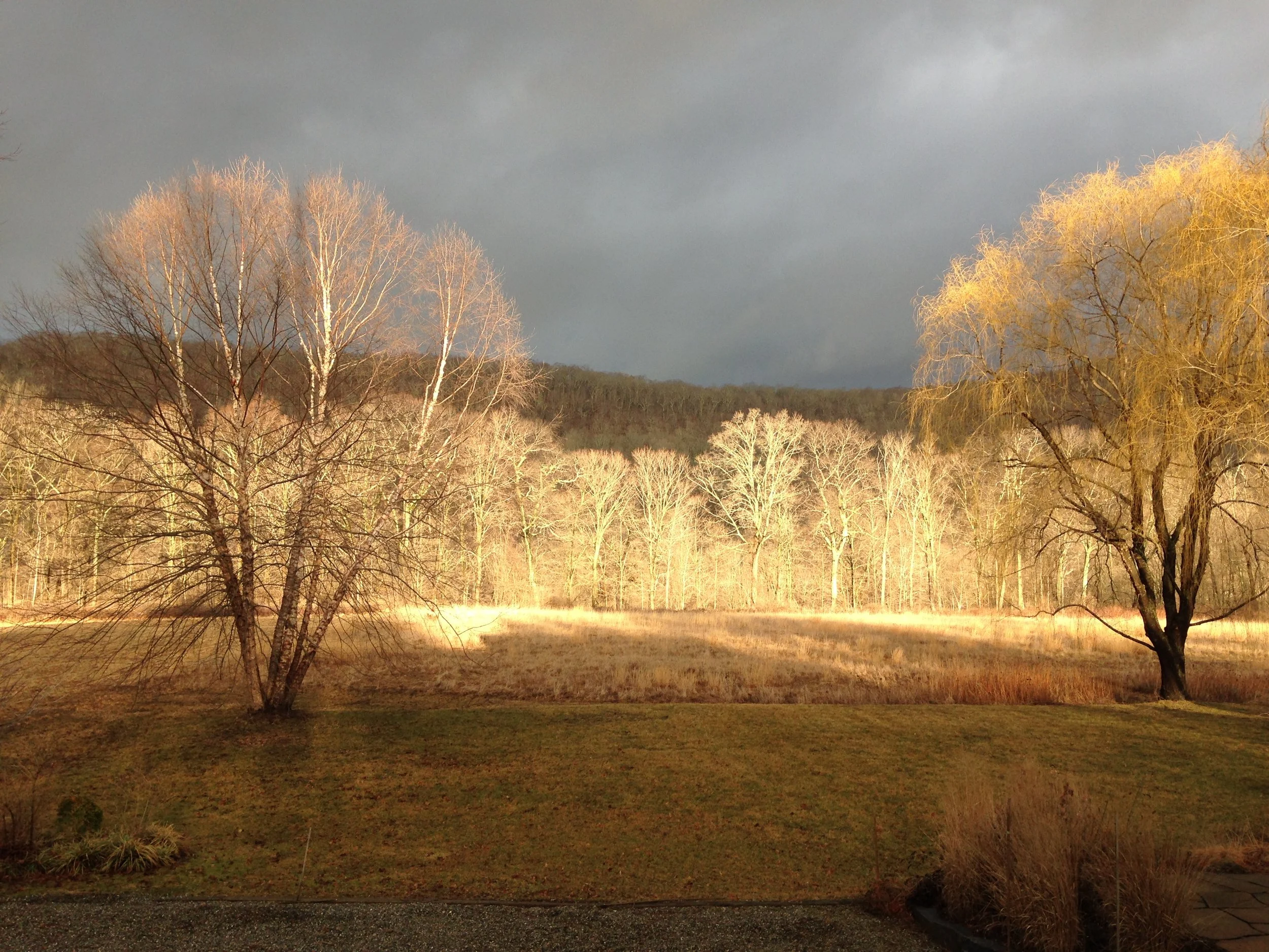 Spring Sunlight.jpg