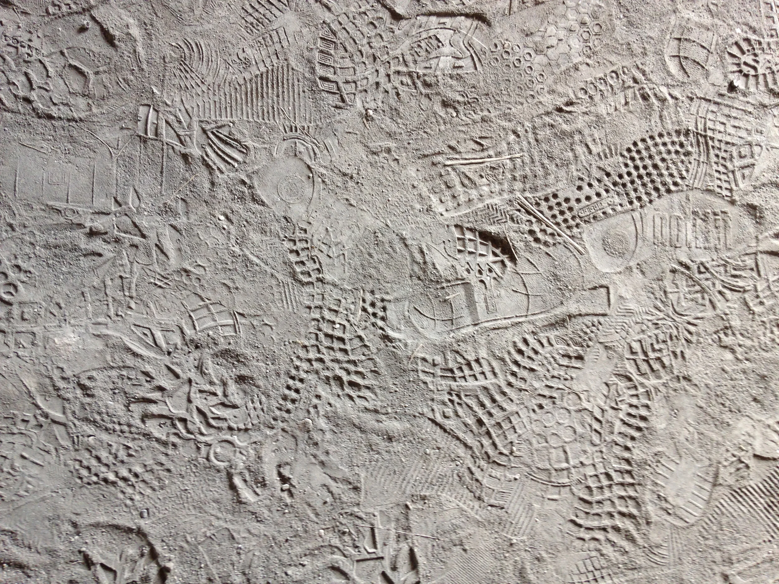 image 2.jpg