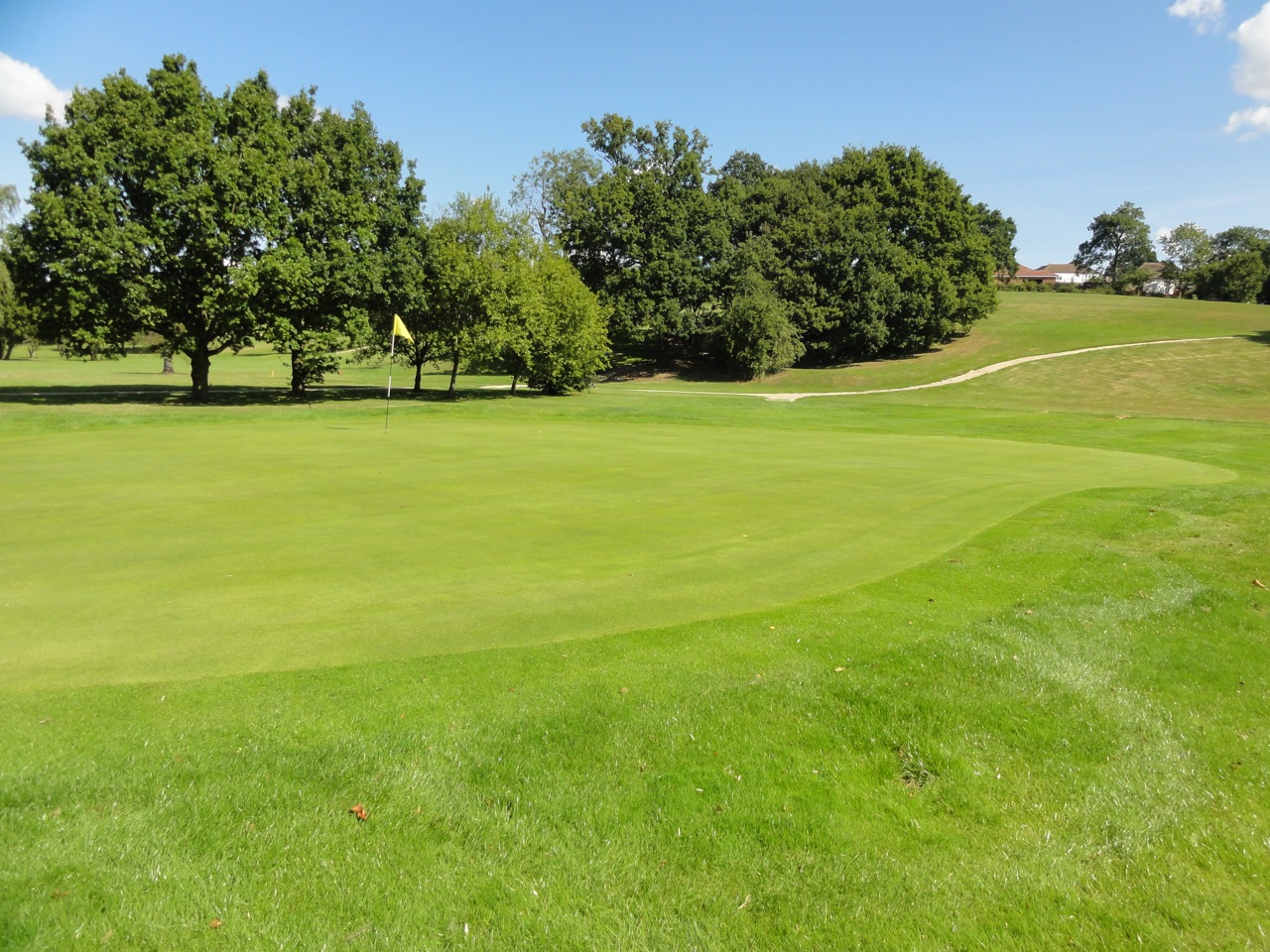 The 10th green is looking very healthy following drainage installation