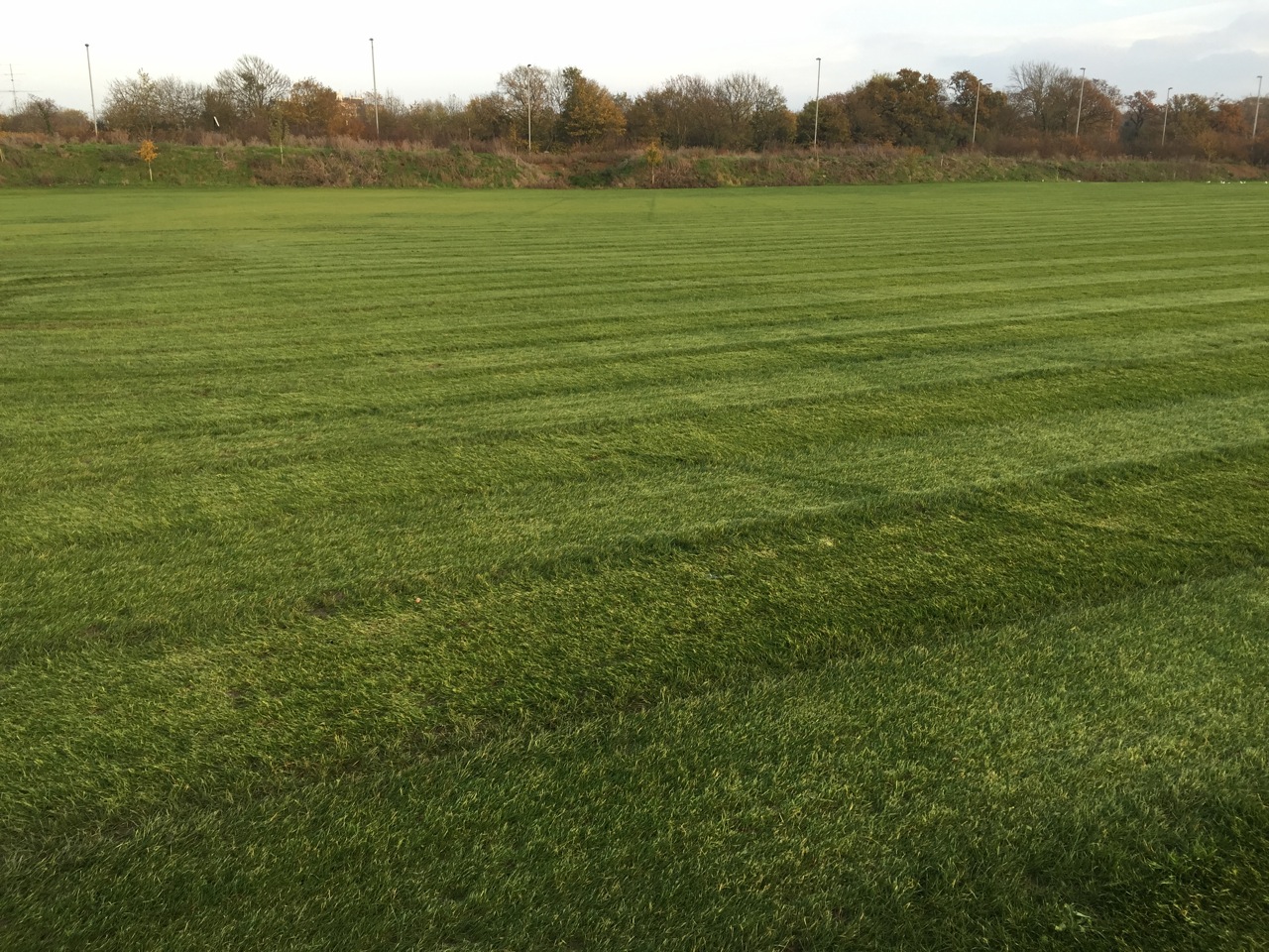 passmores_sports_pitch_contruction_sports_pitch_drainage4.jpeg