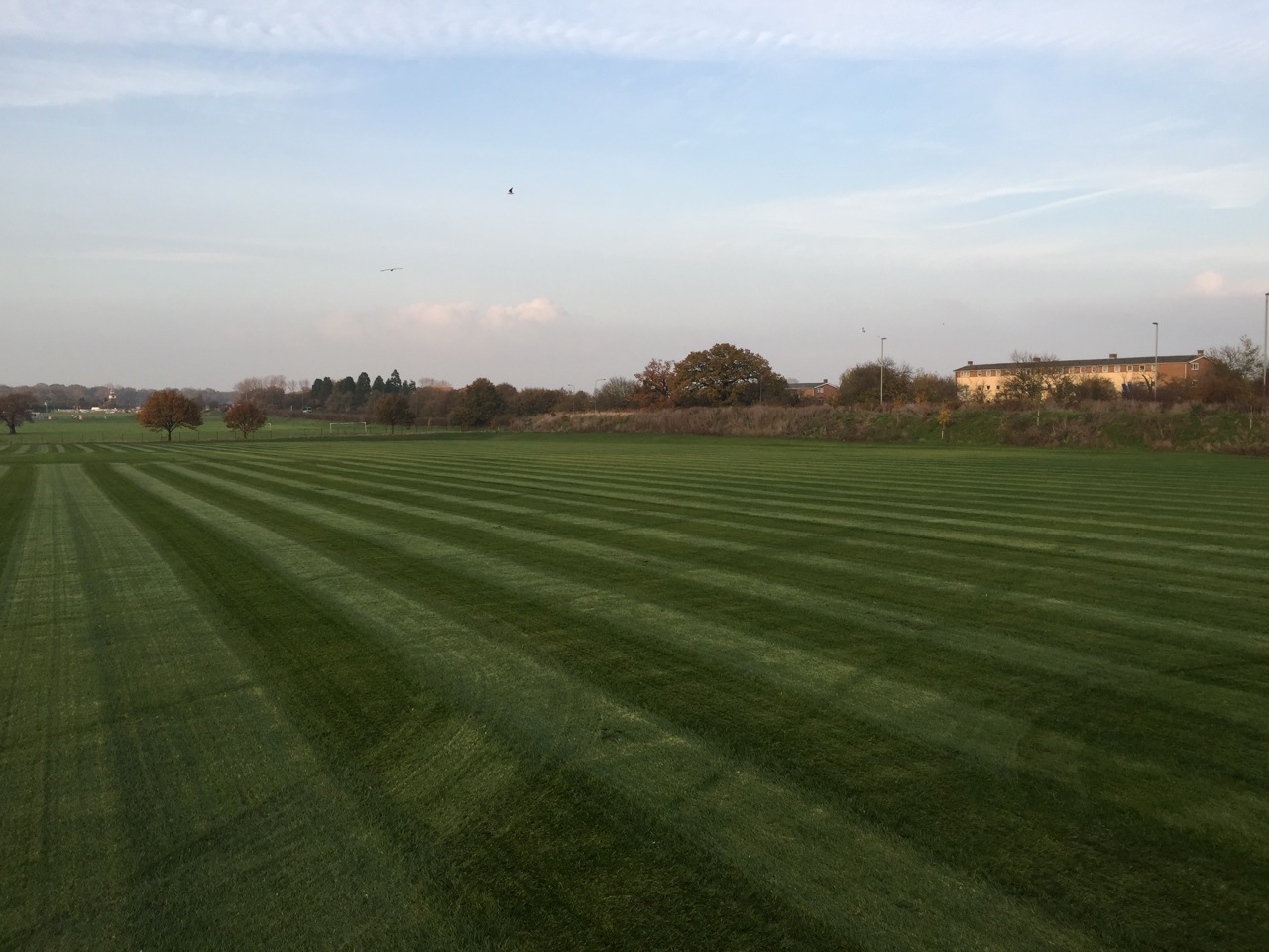 passmores_sports_pitch_contruction_sports_pitch_drainage6.jpeg