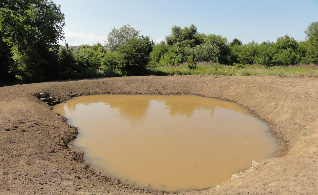 The new pond provides ecological enhancement to the site. It is fed solely from water collected by the youth pitch's Turfdry Drainage System. 