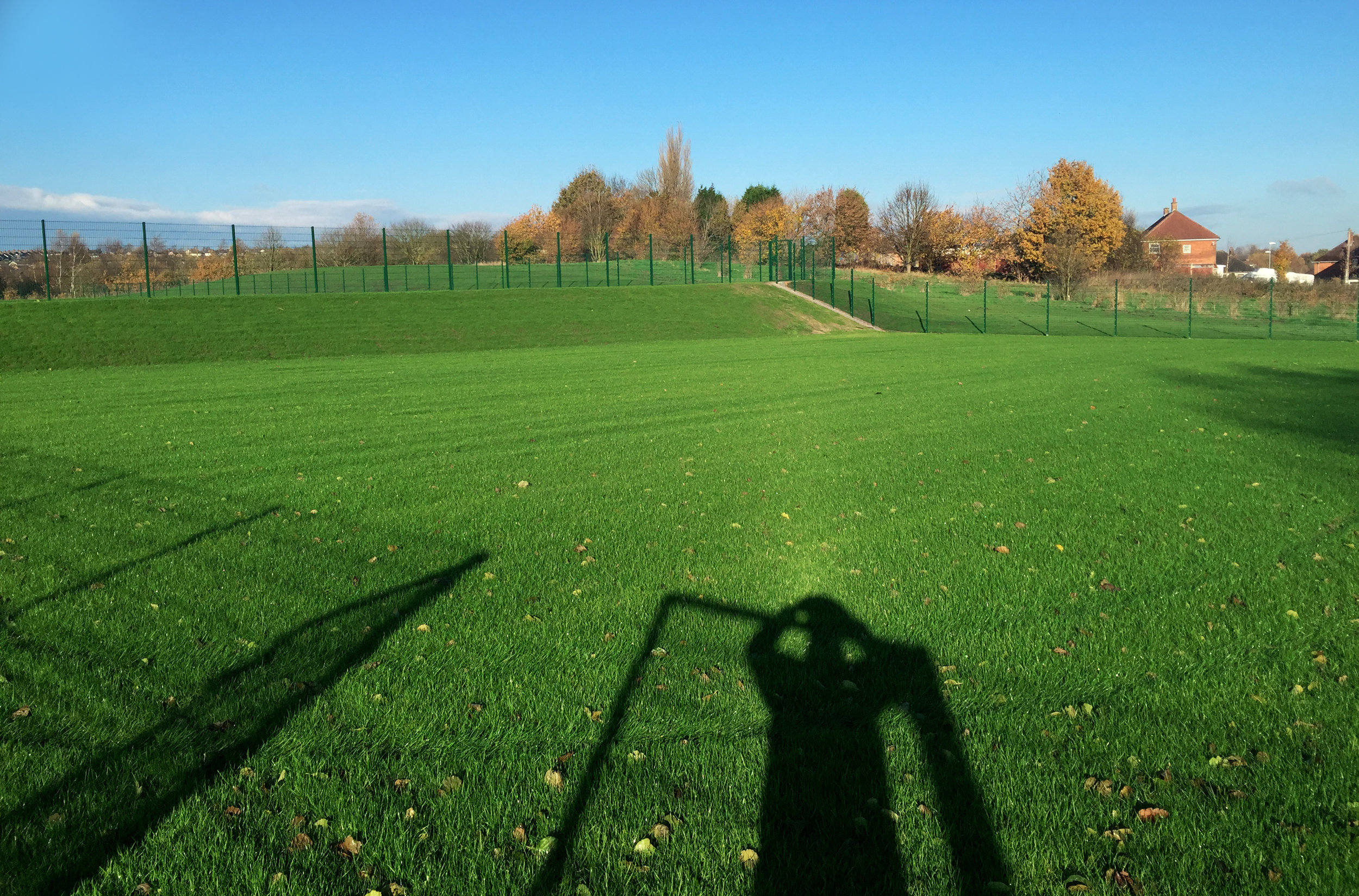  Mini-soccer pitch after first cut (December 2014). 