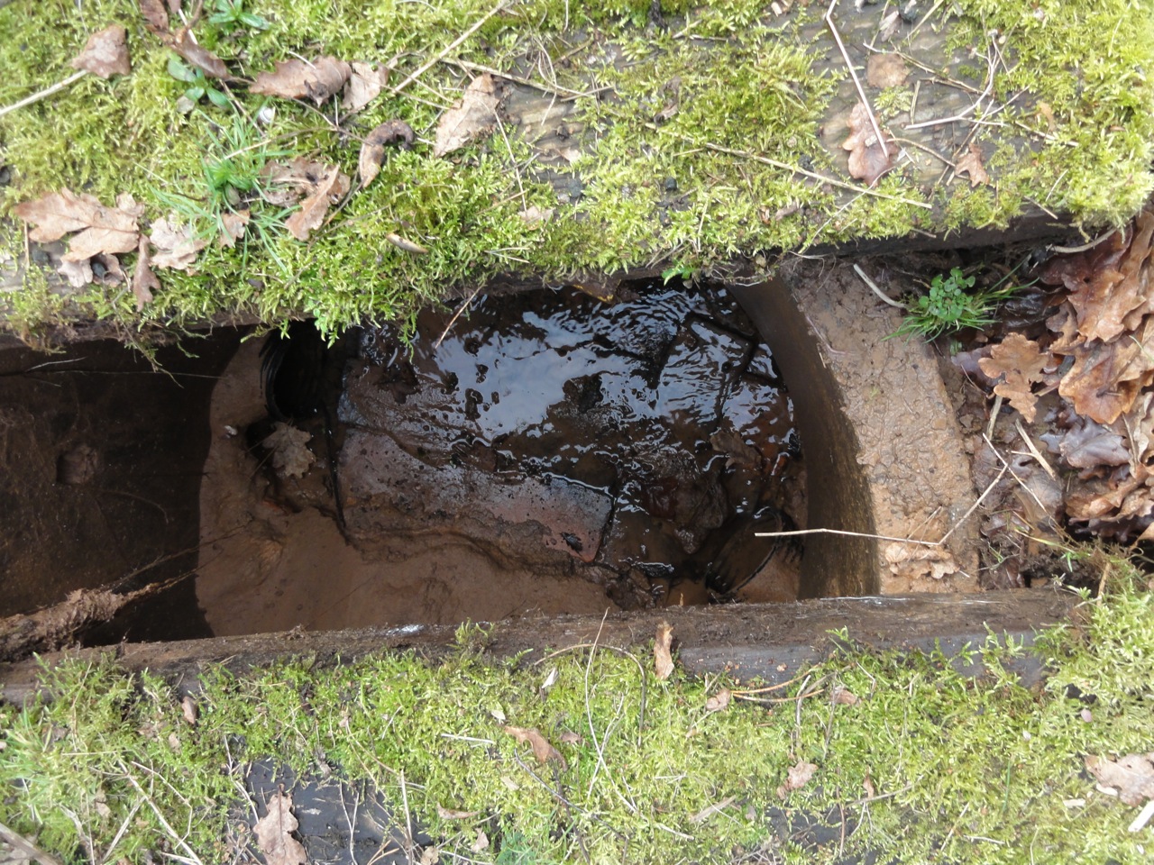 golf_course_drainage_golf_course_construction_golf_course_design_ground_penetrating_radar_block_drains_03.jpeg