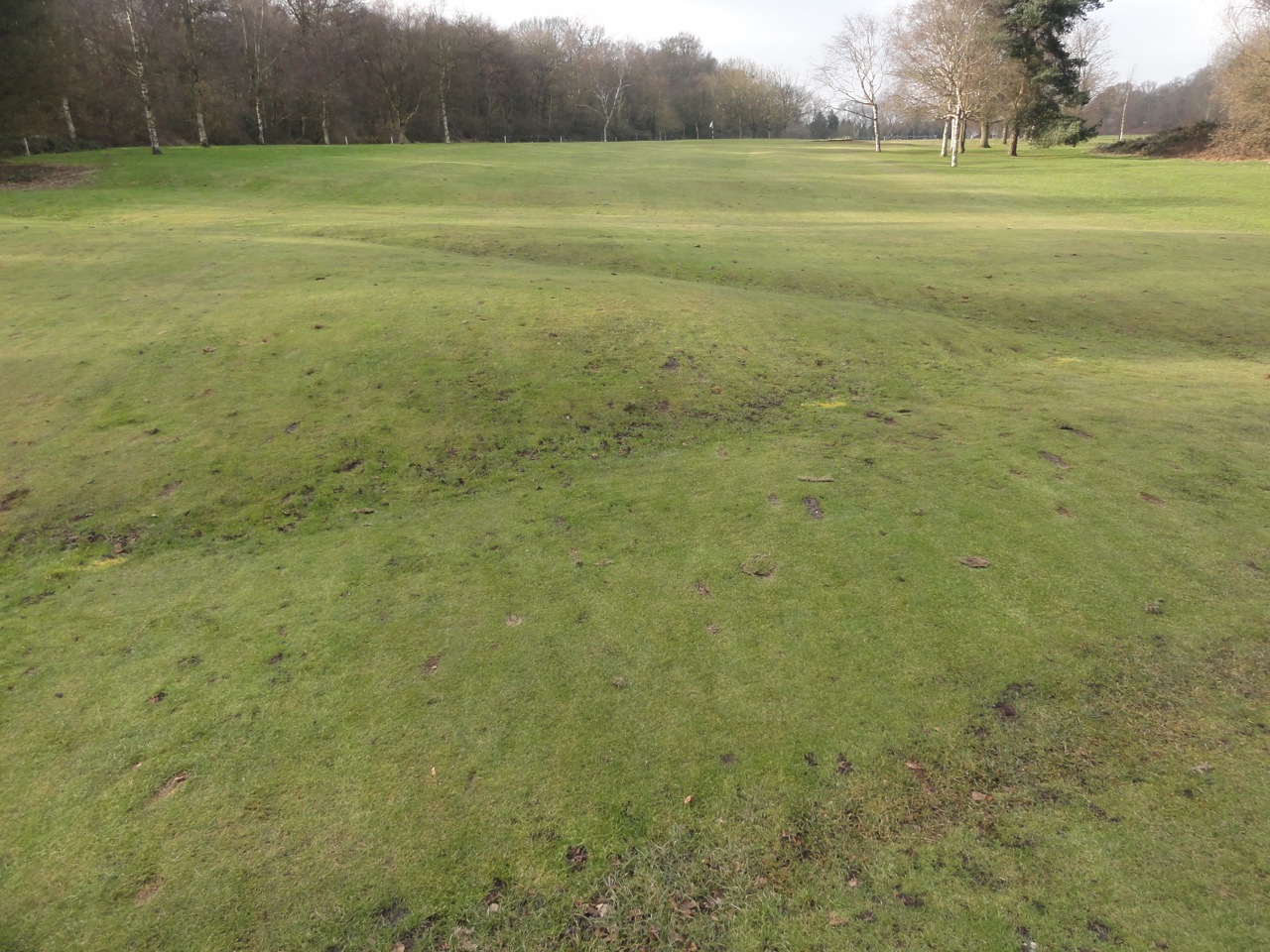 The area in question is riddled with significant undulations, making natural drainage very difficult. 