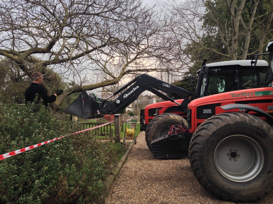  The tight space of the historic garden challenged the team to maintain care and precision at all times. 