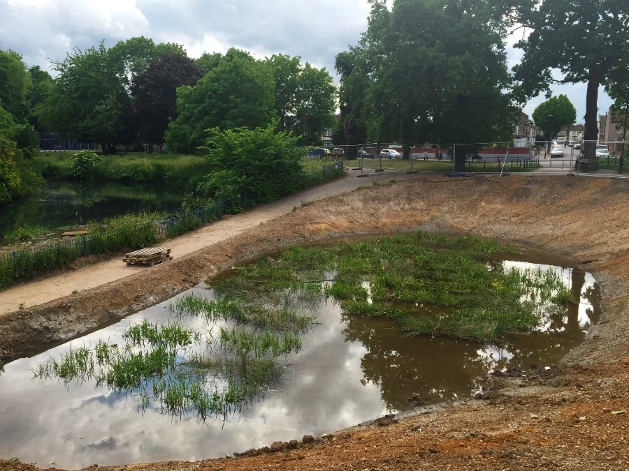 The wetland construction has been completed, and planting has already begun