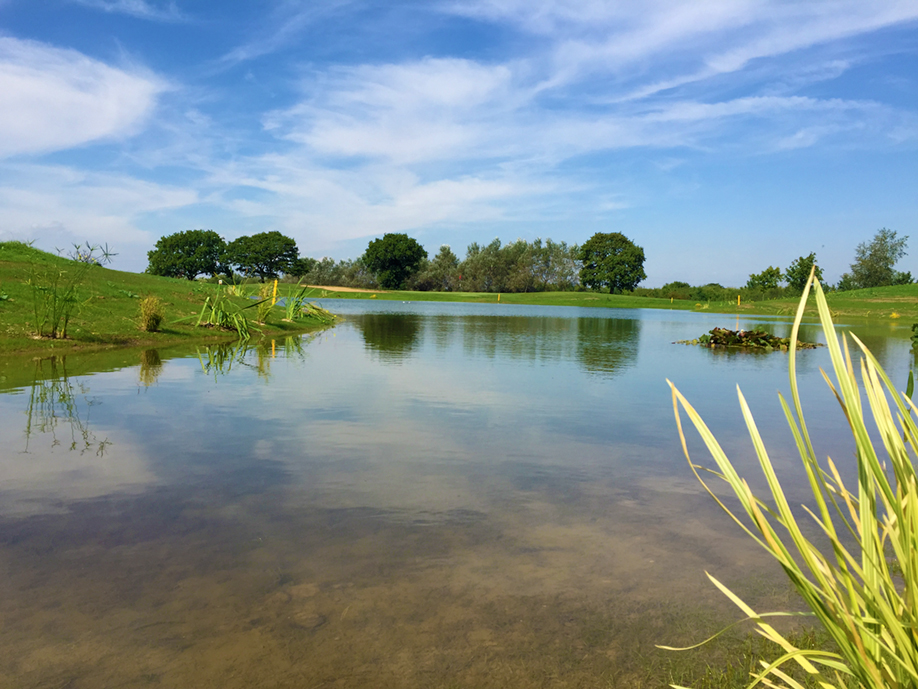  The new pond on the 13th presents a daunting challenge to golfers. 