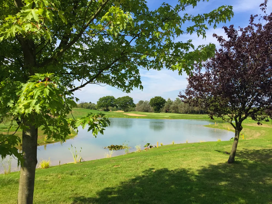 The 13th pond.