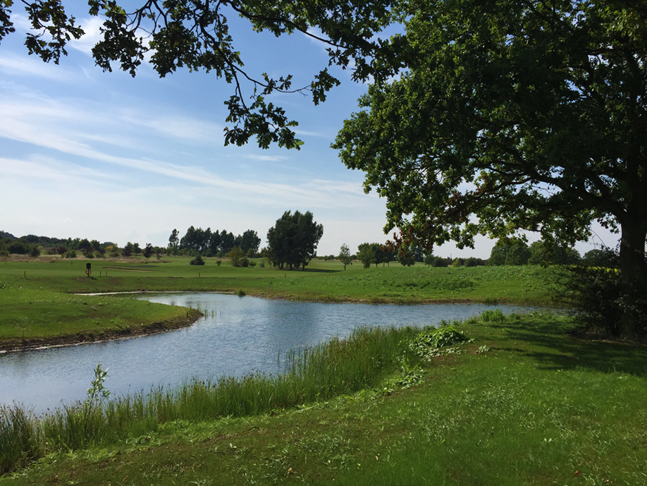  Reshaping of the pond adjacent to the 14th hole has resulted in a much improved aesthetic. 