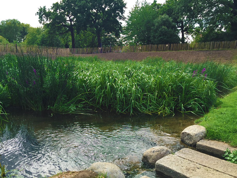 The wetlands add both aesthetic and ecological value to the park, as part of Enfield Council's continued efforts to improve the Borough.