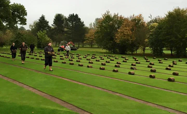Strips of turf are removed, labelled and stored.