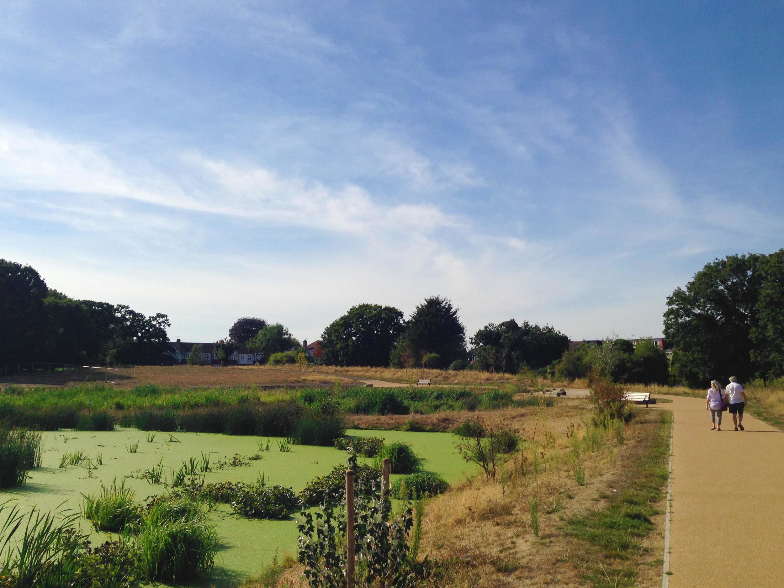  Local residents enjoy the picturesque natural beauty offered by the wetlands.