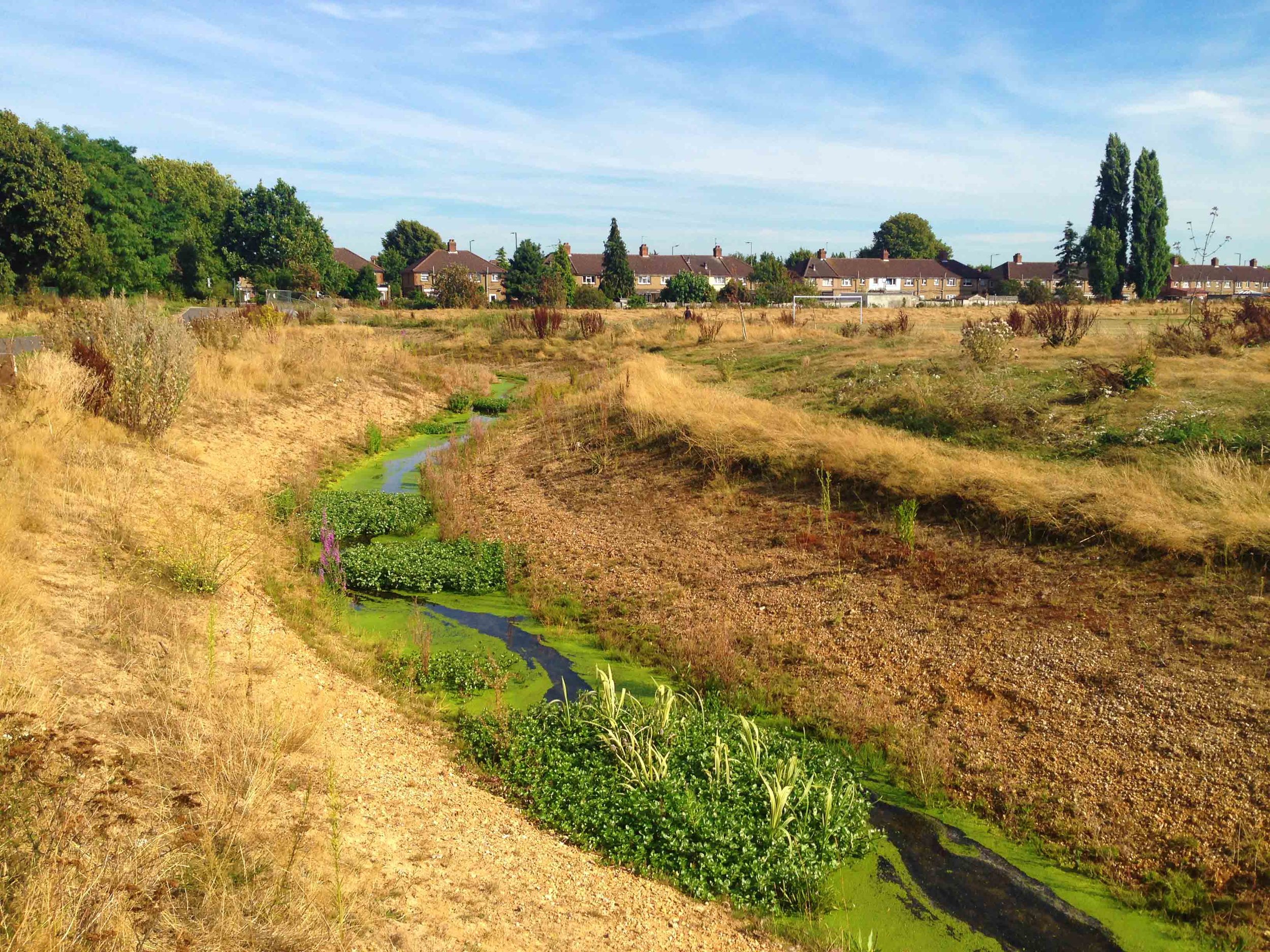 The watercourse works its way through the entire park.