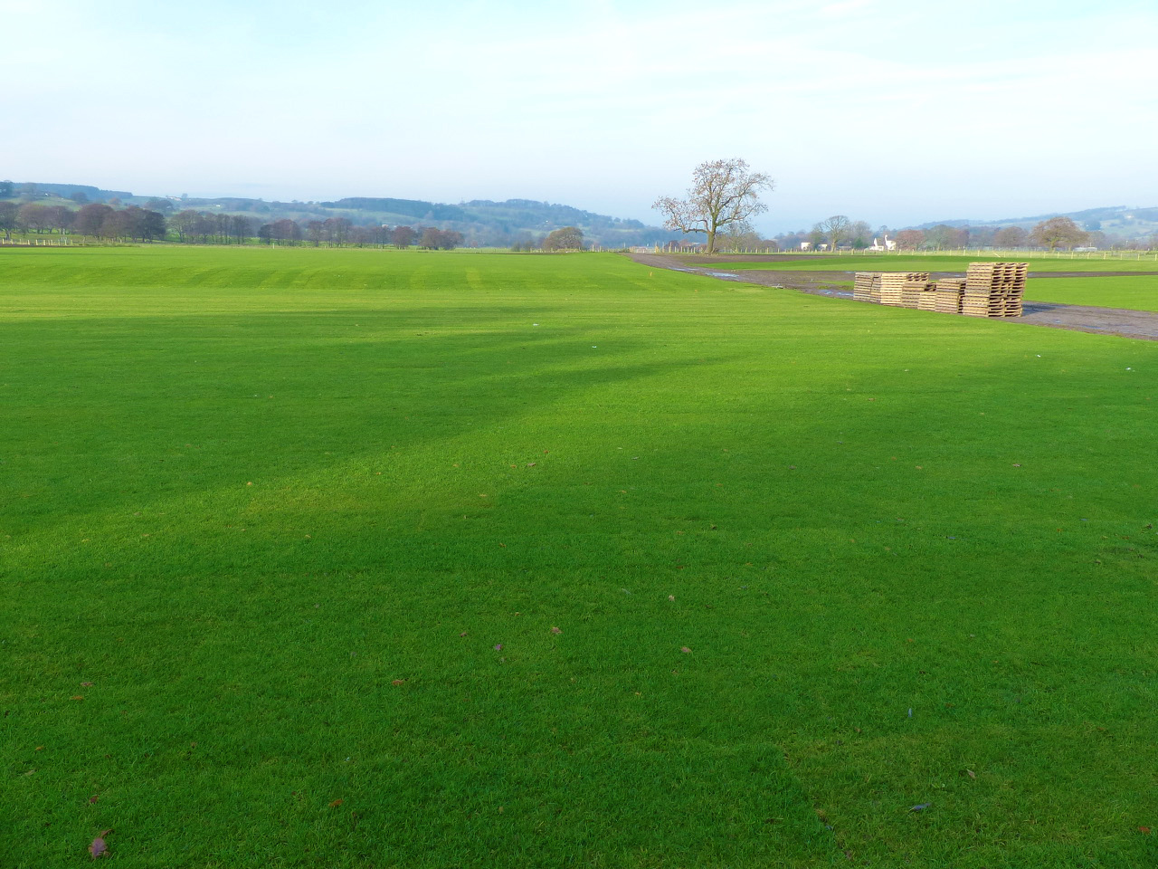 The pitch is developing well, with Turfdry implementing a maintenance programme until handover.
