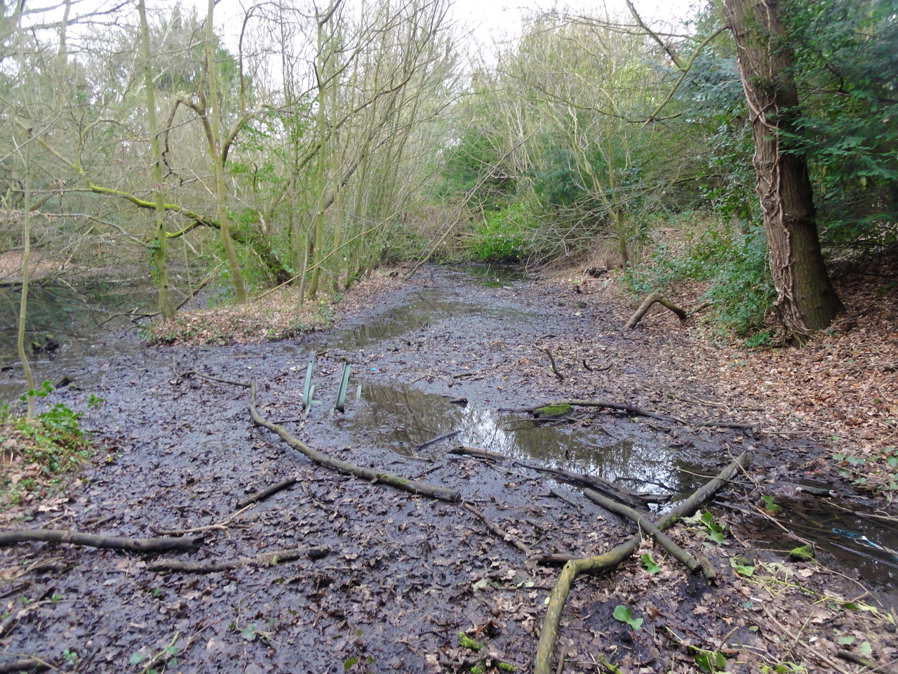 The new flow of water into this abandoned section of the New River will confer ecological value, encouraging a richer and more diverse array of flora & fauna.