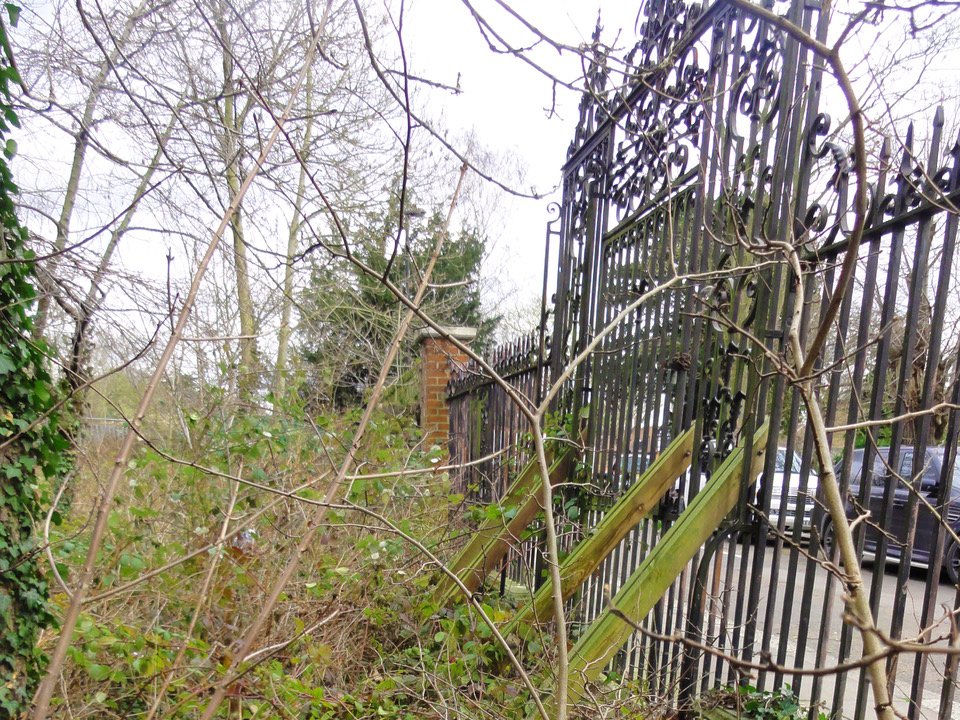 The area adjacent to the park's historic gates will require particular care for the installation of drainage relief channels amongst such tight woodland.