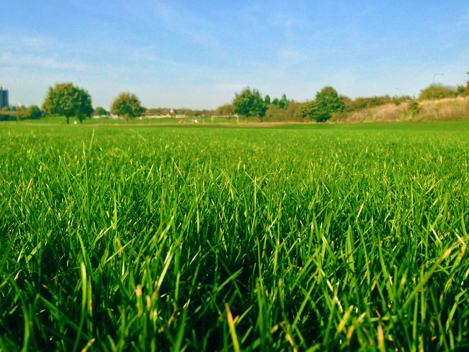 Passmores Academy Sports Field