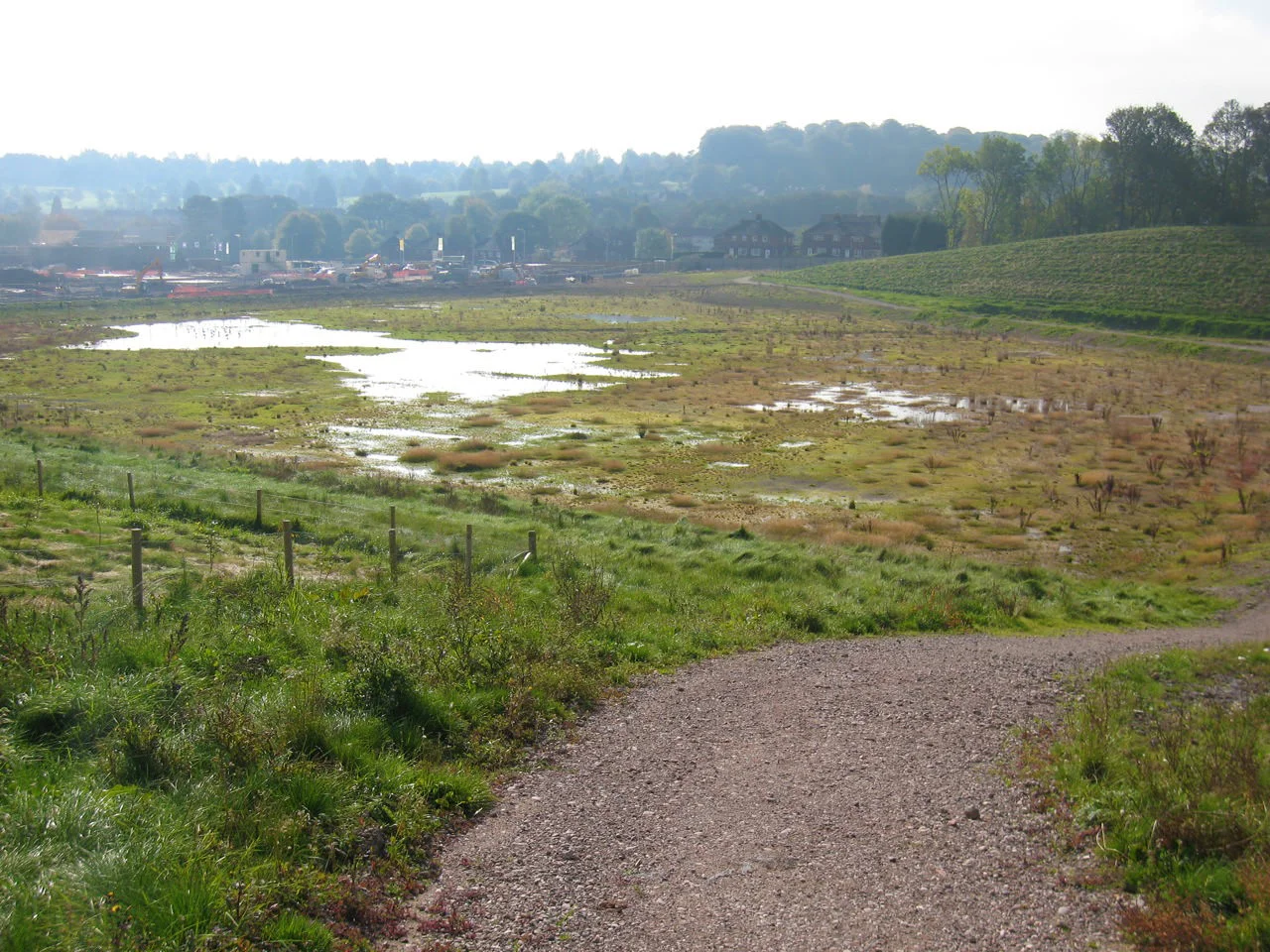 SIlverdale - Existing Site
