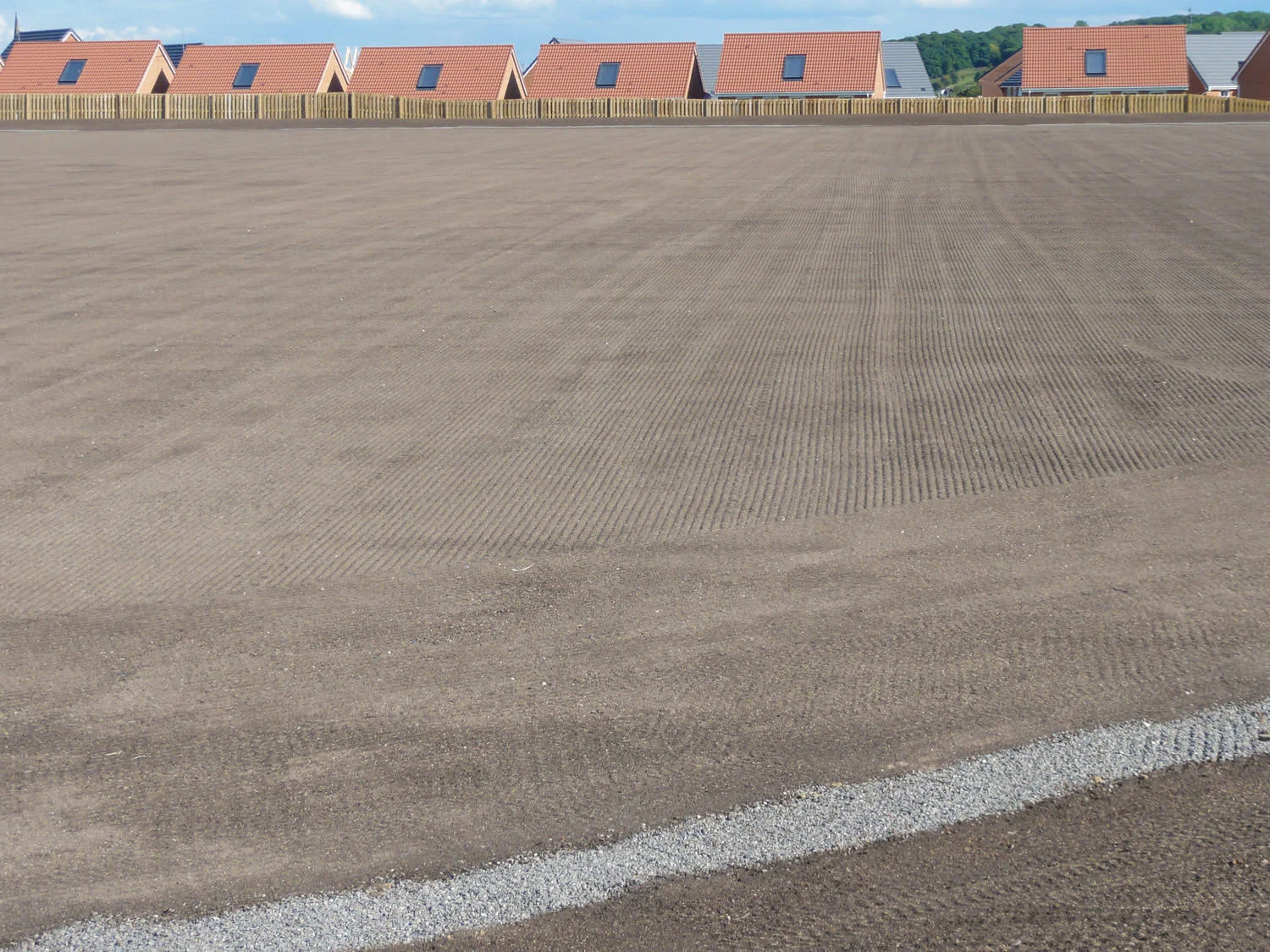 SIlverdale - Cultivation & Seeding