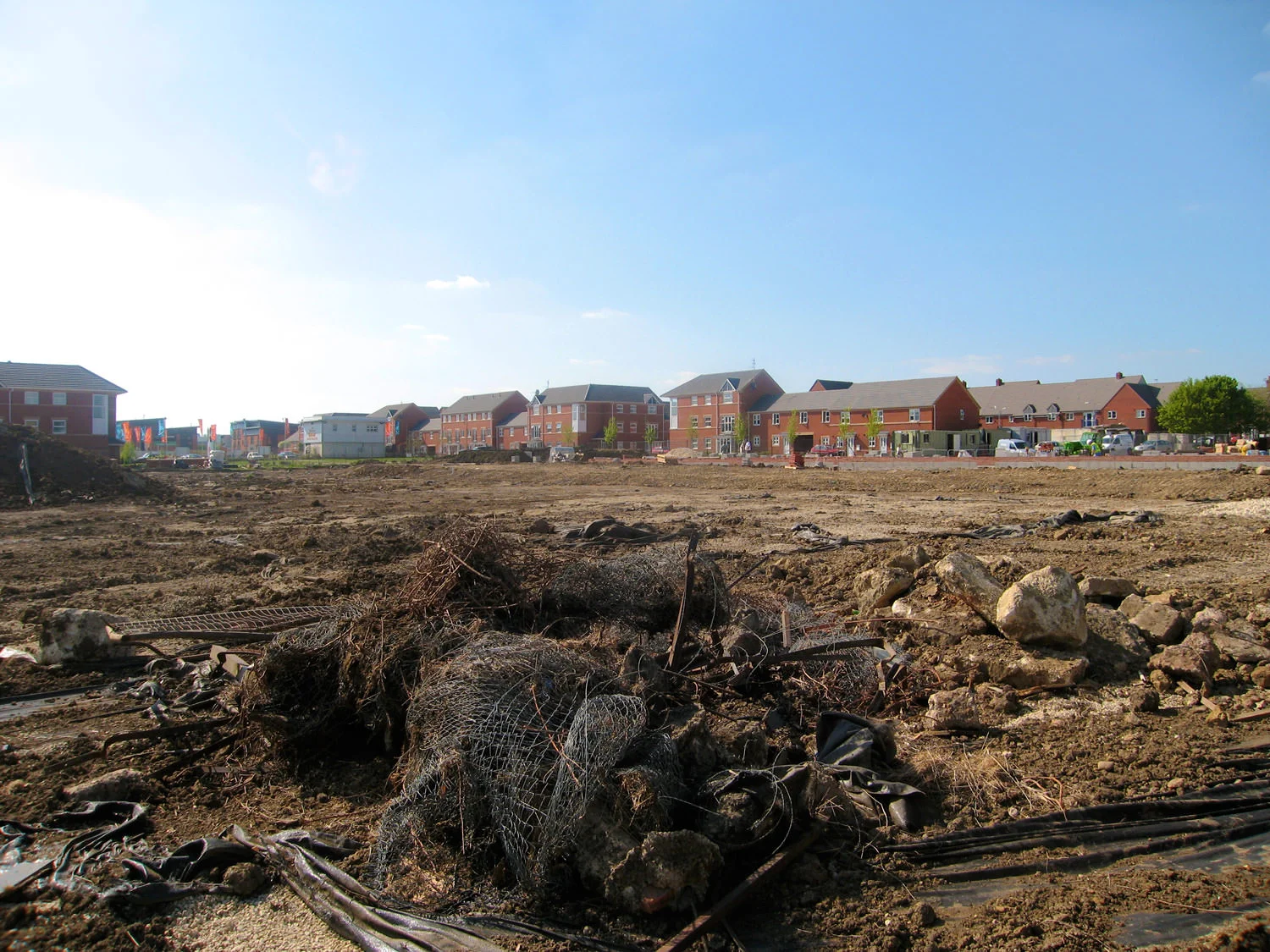Dashwood School - Site at Handover