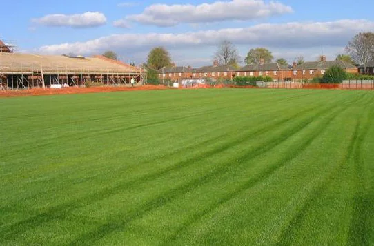 Dashwood School - Finished Pitch