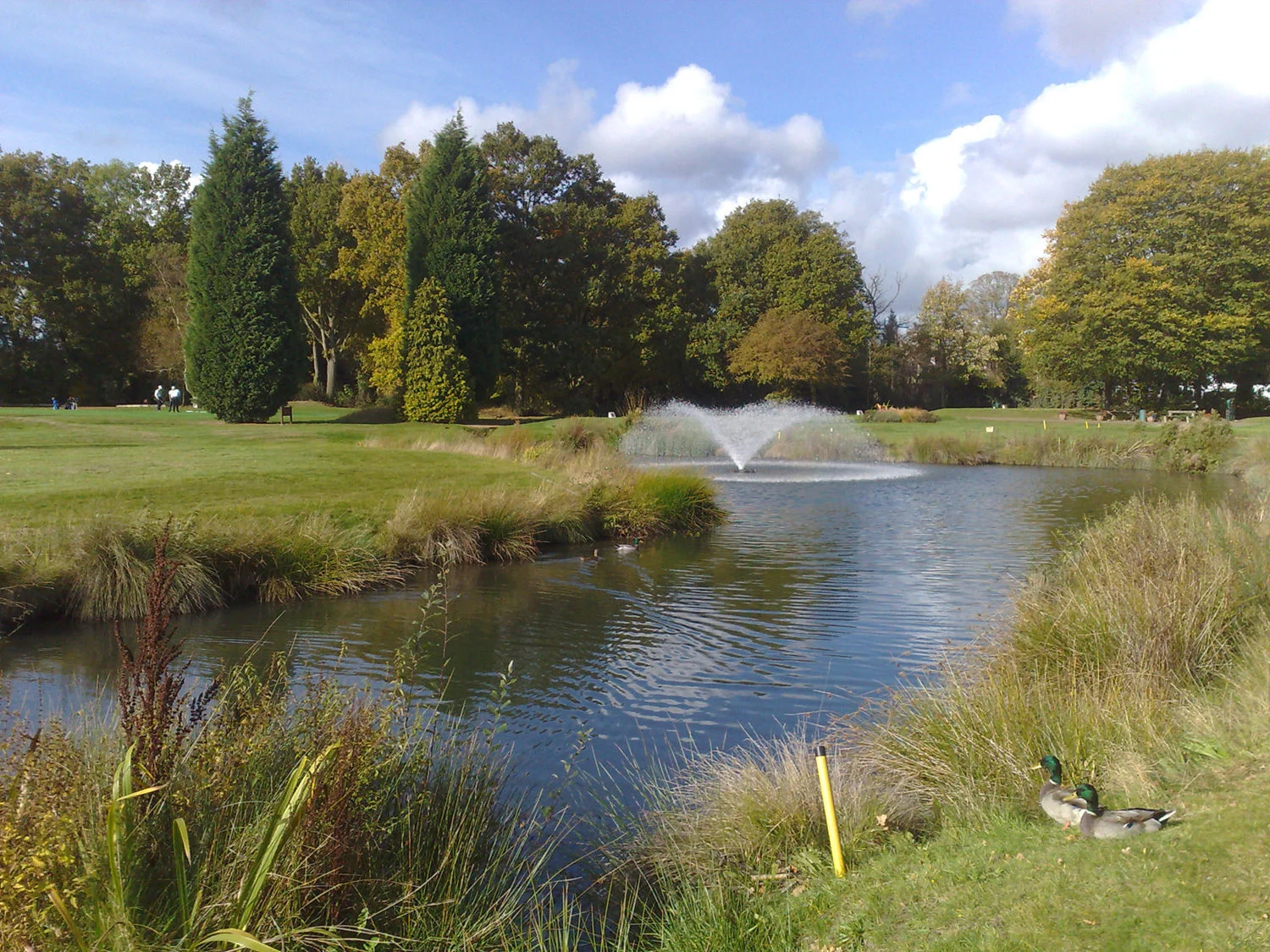 Langley Park Golf Club - Mature Pond