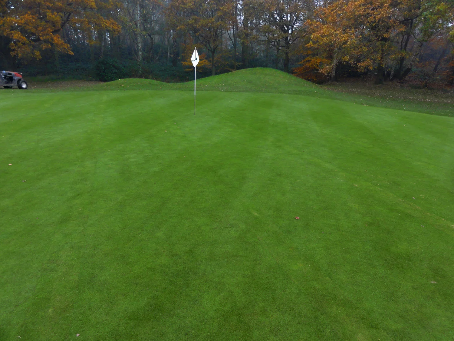 Thorndon Park Golf Club - Re-Turfed Green