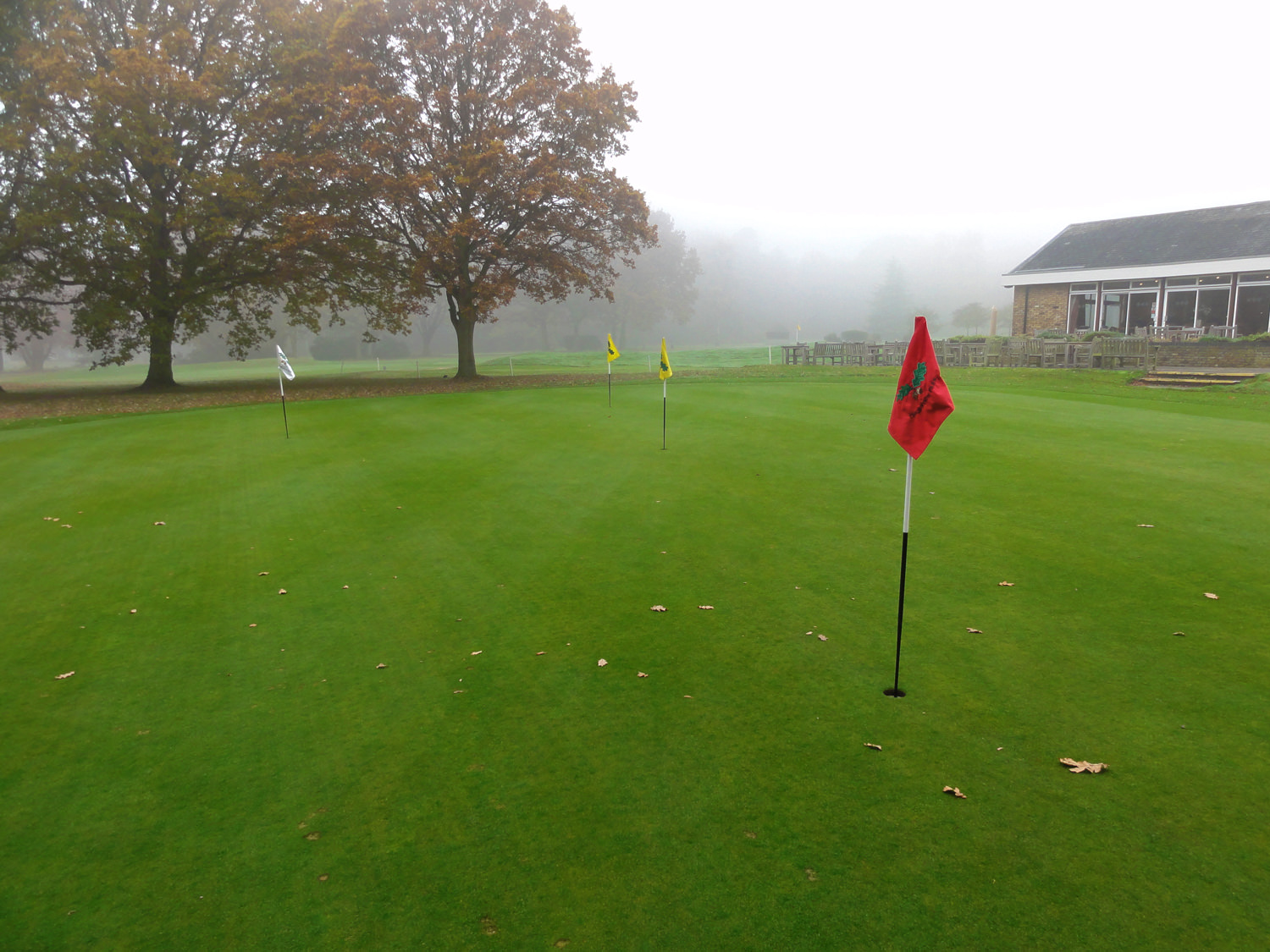 Thorndon Park - Greens Drainage