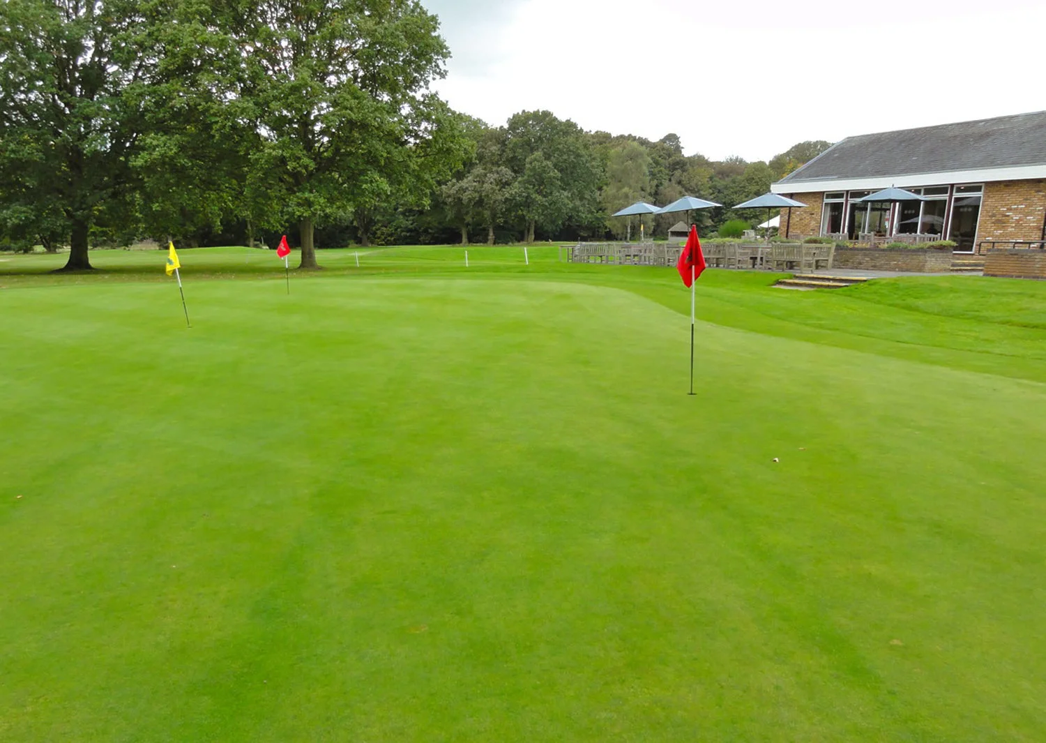 Thorndon Park Golf Club - Greens Back in Play