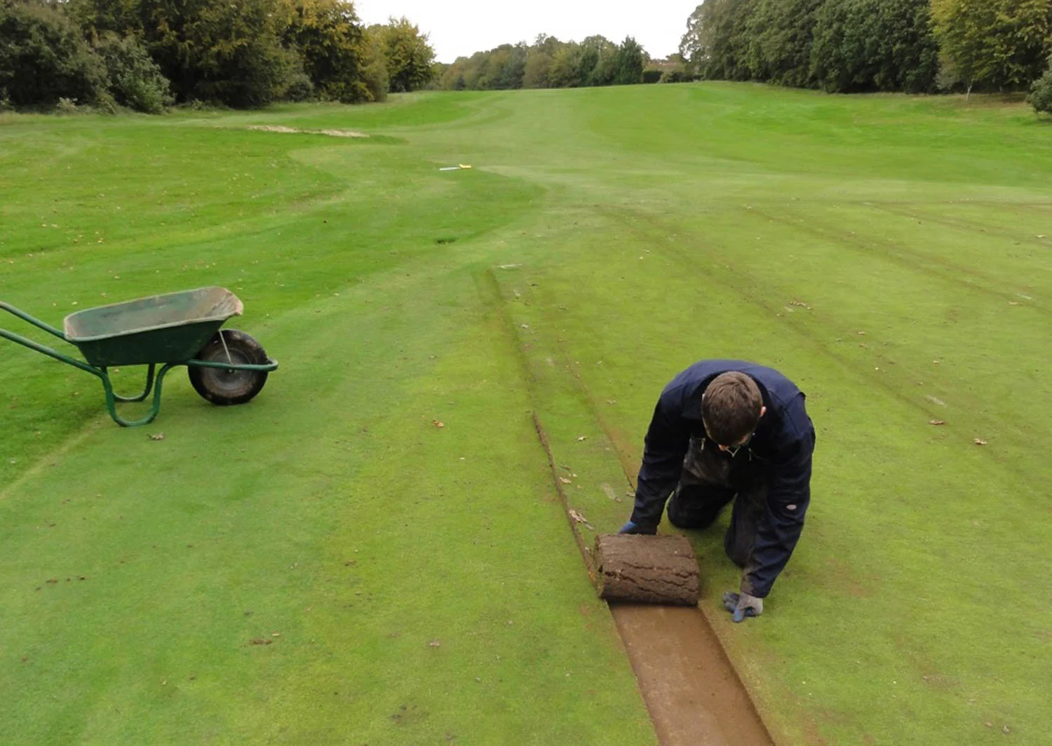 Thorndon Park Golf Club - Turfing Works