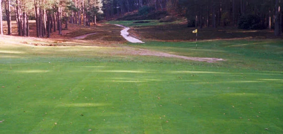 Sunningdale Golf Club - Greens Drainage