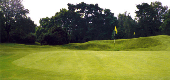 Sunningdale Golf Club - Greens Drainage