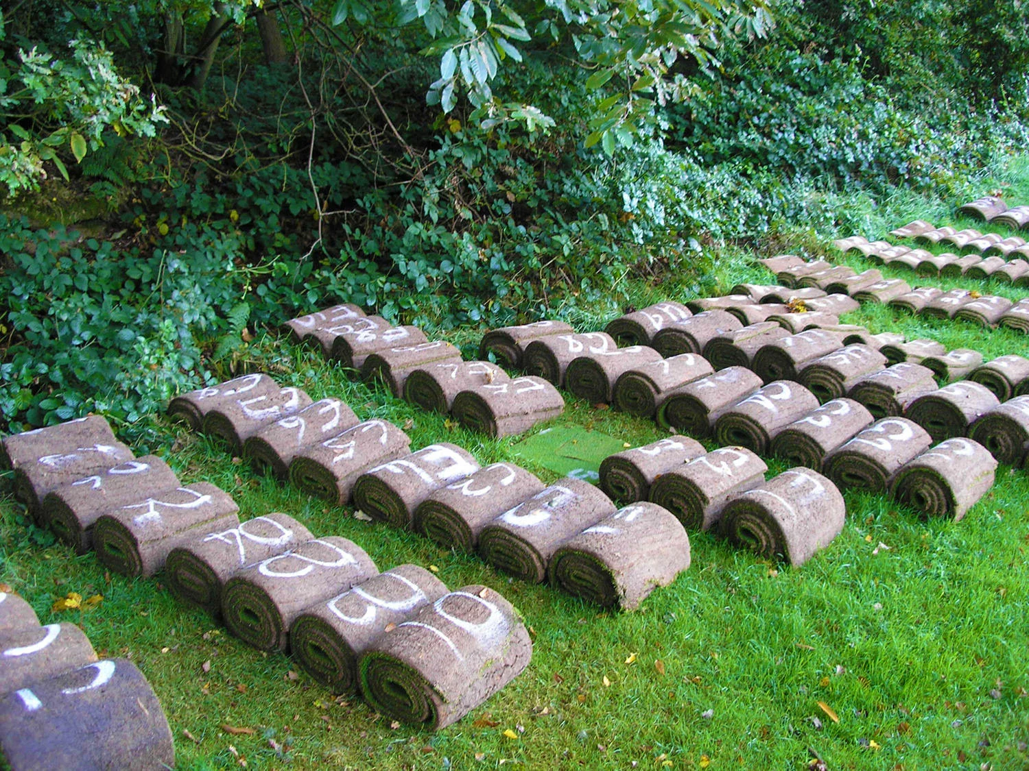 Liphook Golf Club - Greens Drainage