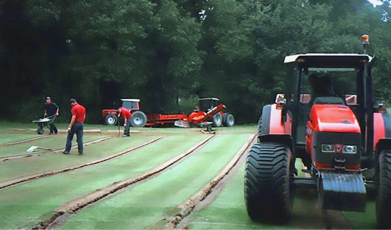 Liphook Golf Club - Greens Drainage Installation