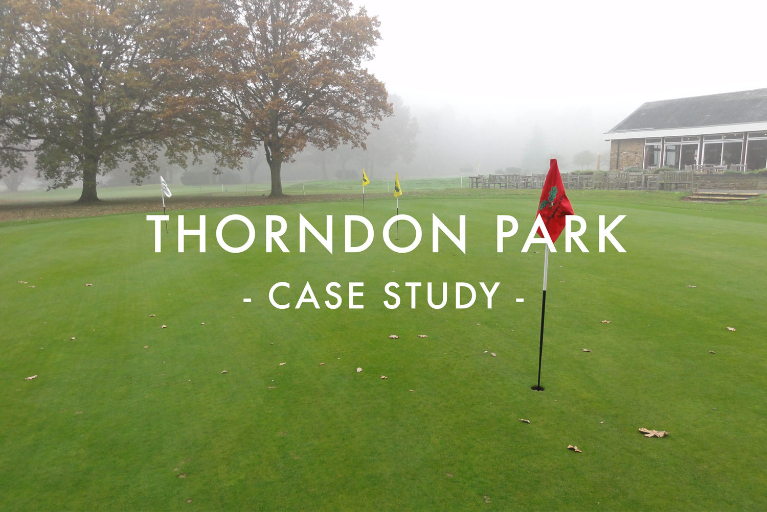 Thorndon Park - Case Study