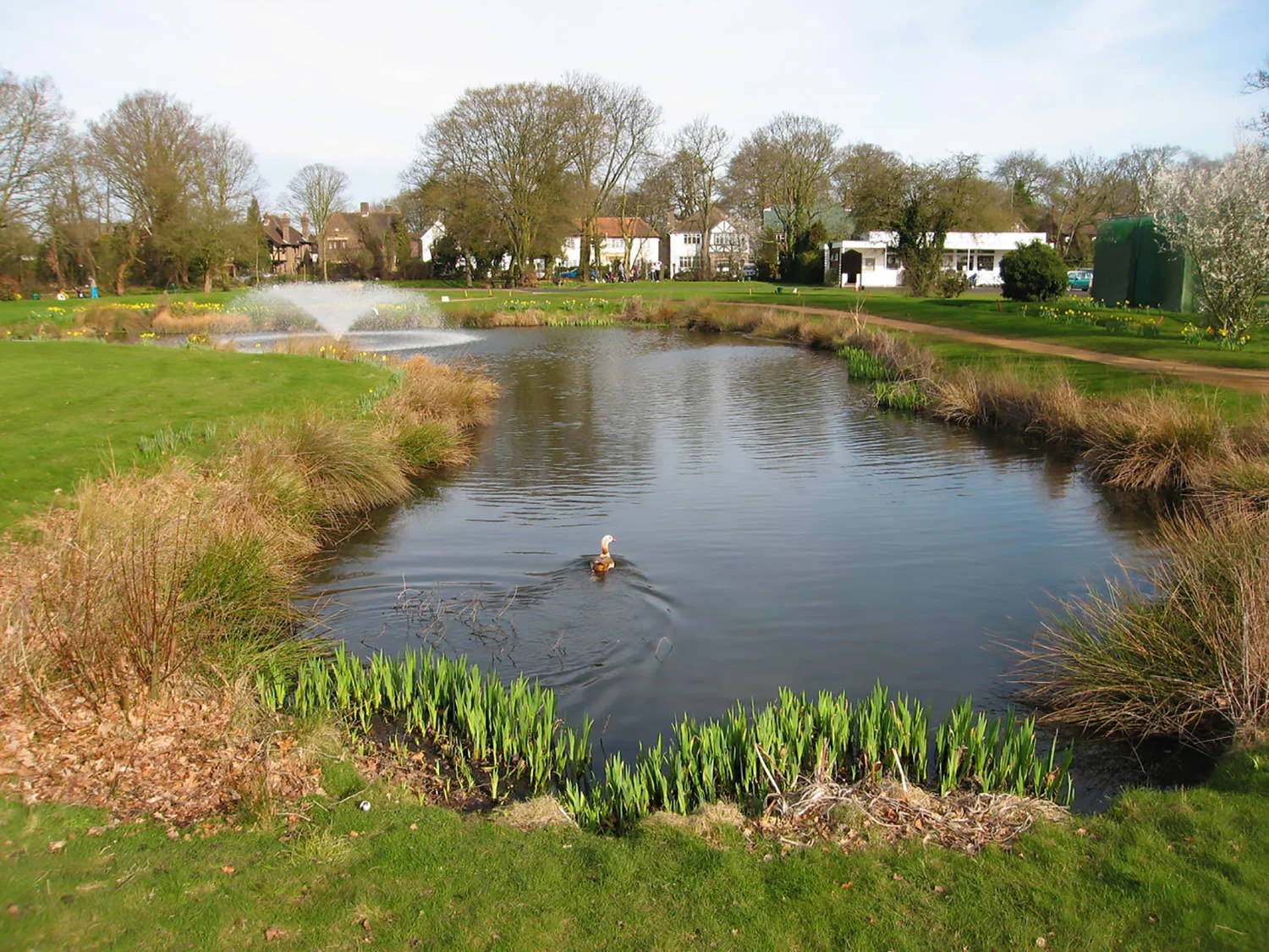 Langley Park Golf Club - Pond Construction