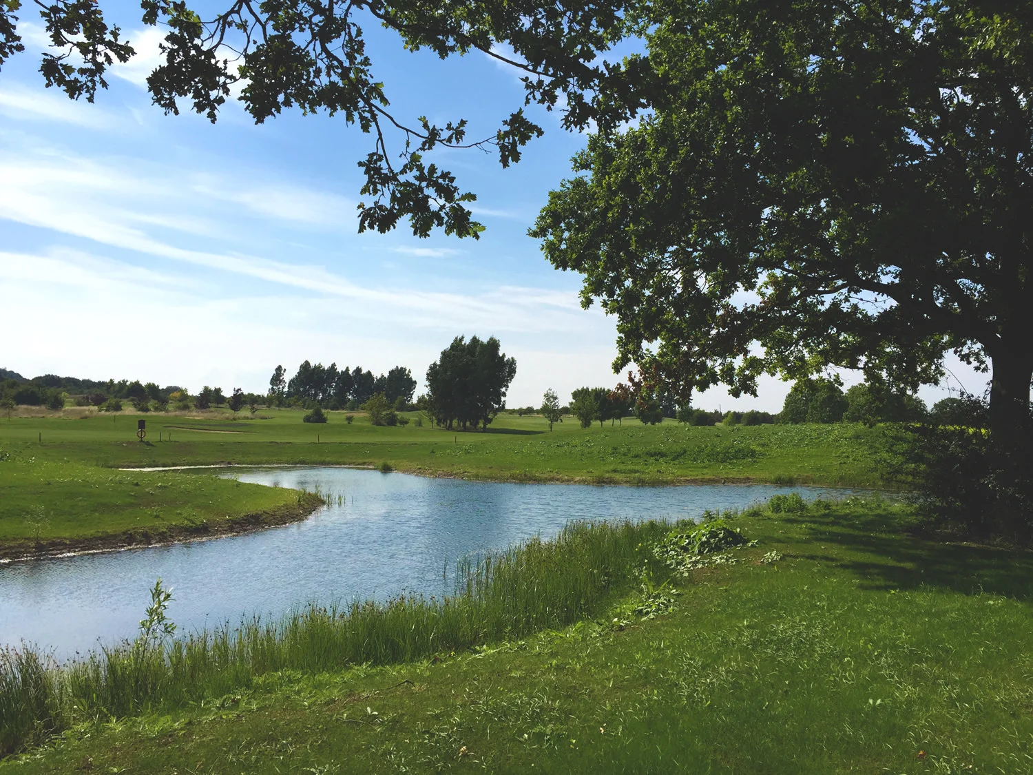 The Rayeigh Club - Pond Reshaping & Course Landscaping