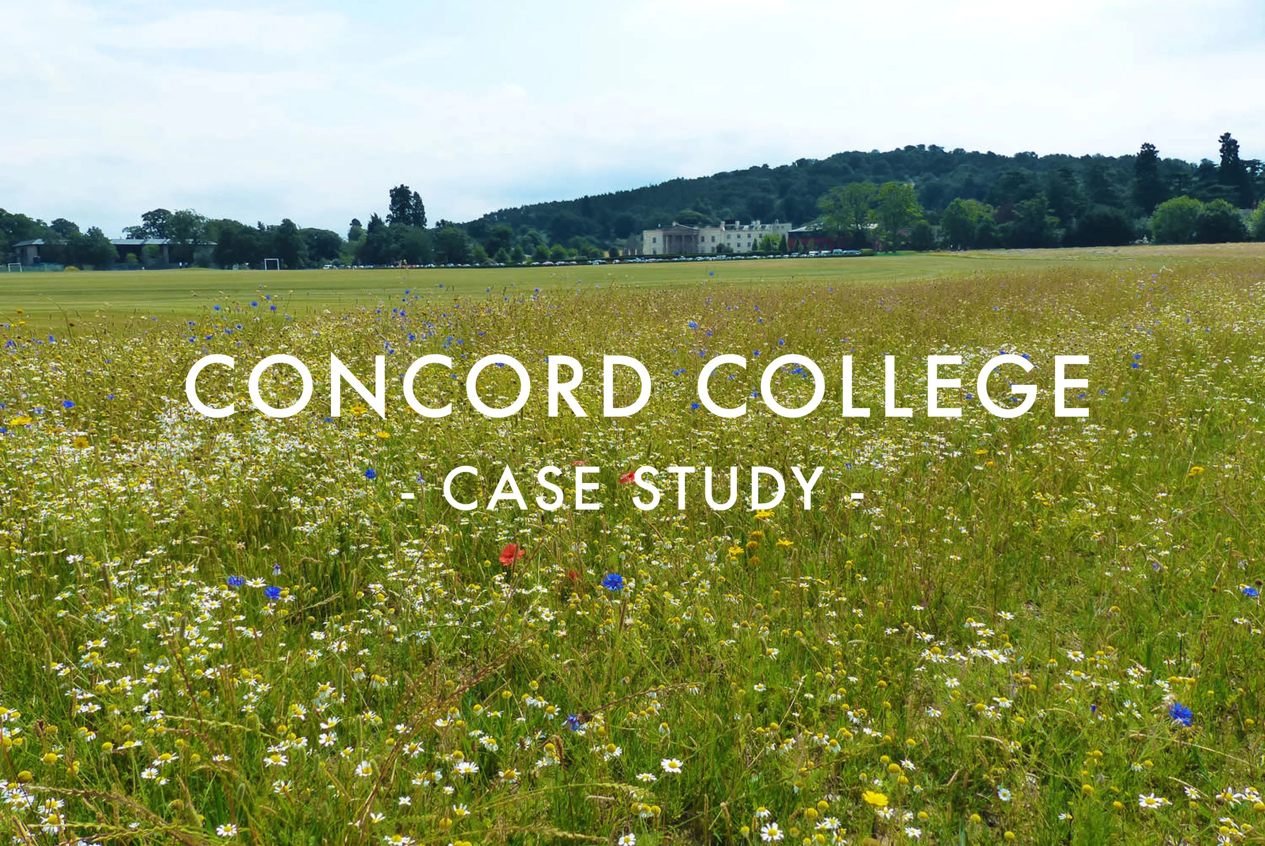 Concord College Case Study