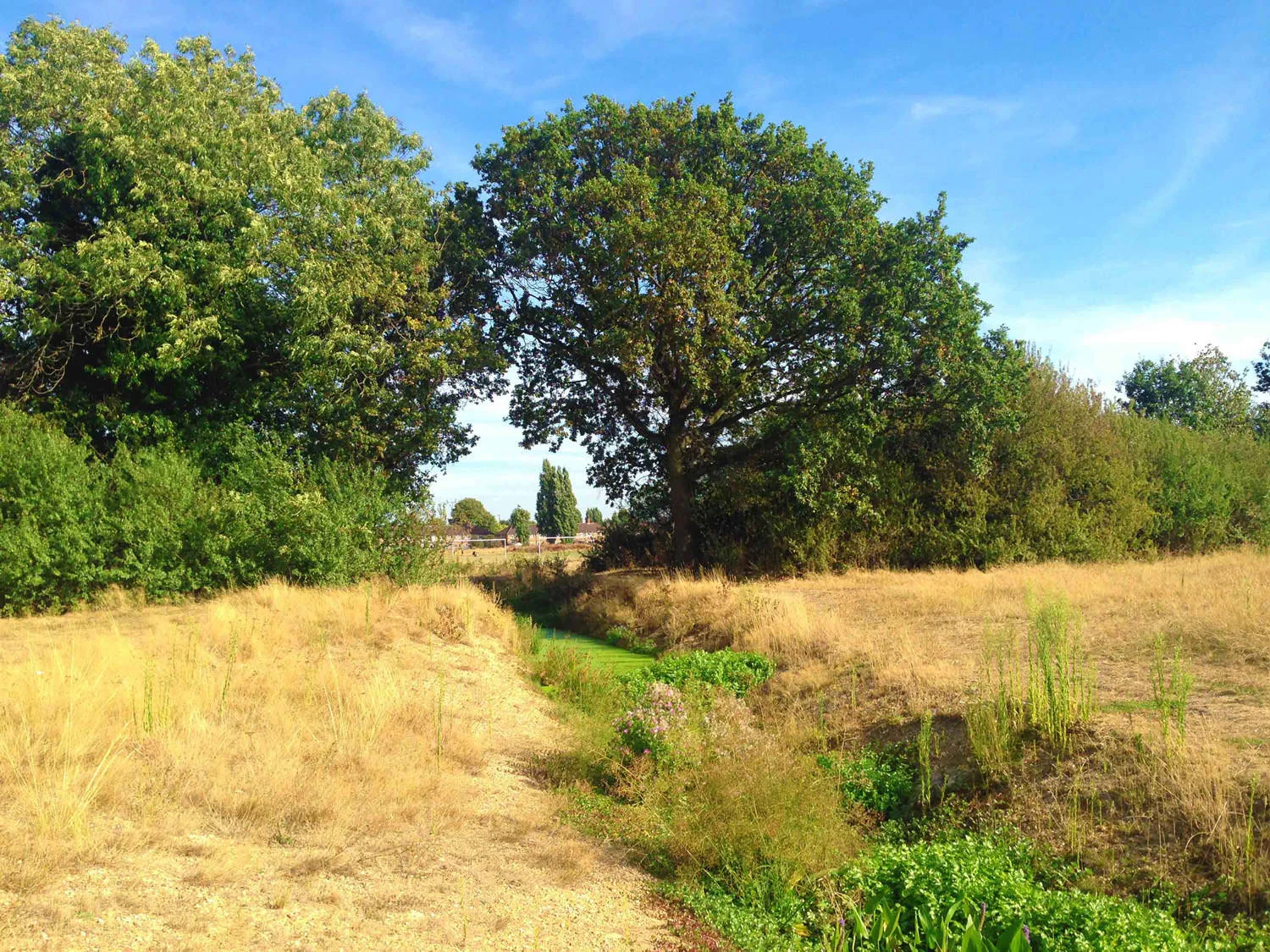 FIrs Farm Park - Watercourse Route