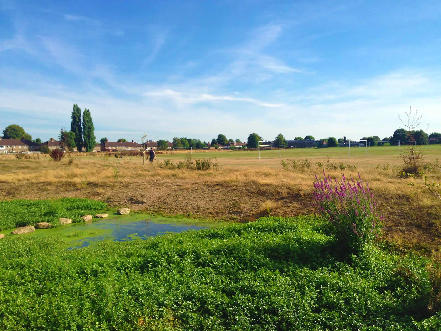 FIrs Farm Park - Watercourse Route