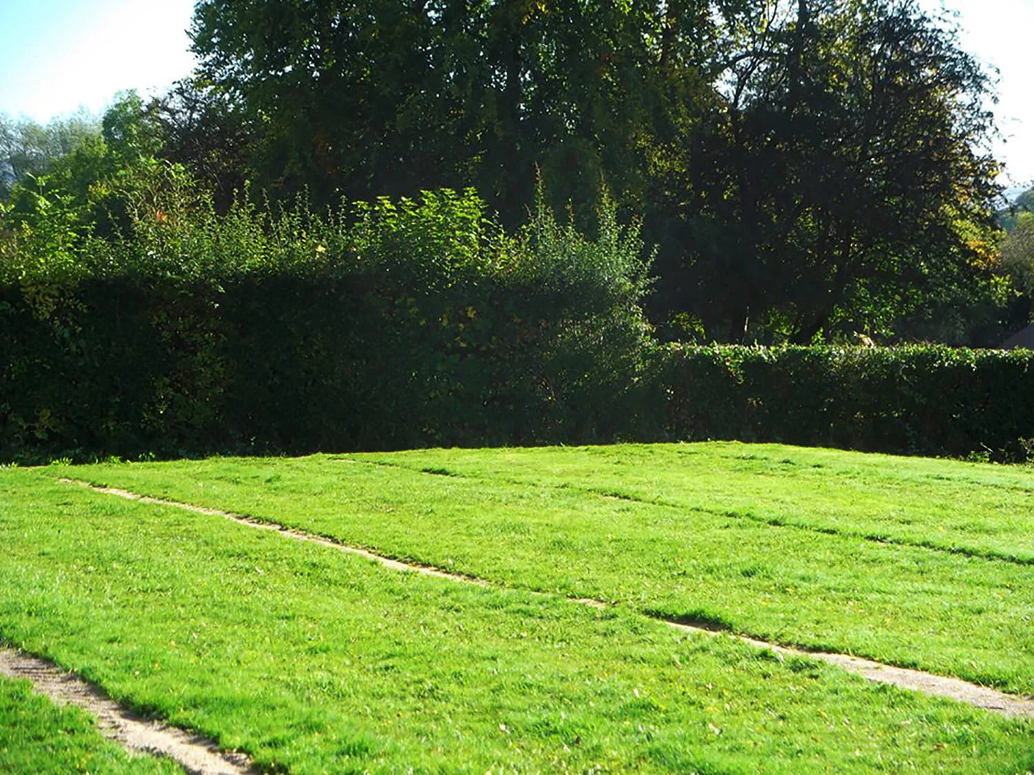 Girlguiding UK - Site Re-Seeding