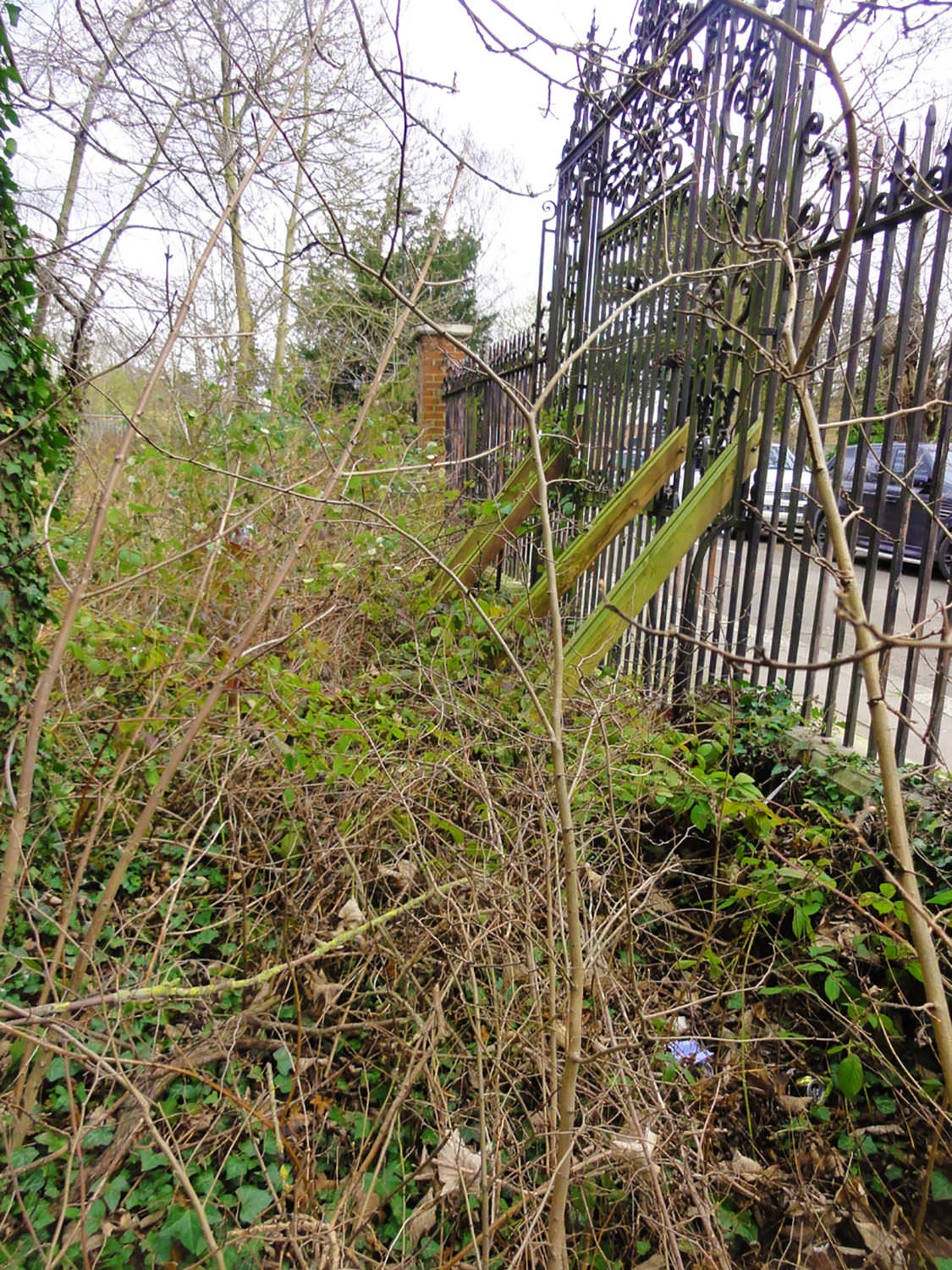Gough Park - Historic Gates Overgrown